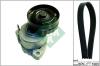INA 529009110 V-Ribbed Belt Set