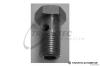 TRUCKTEC AUTOMOTIVE 79.10.001 (7910001) Hollow Screw