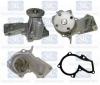 Saleri SIL PA1422A Water Pump