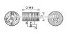 AVA QUALITY COOLING MS8619 Electric Motor, interior blower