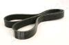 ASHIKA 112-6PK1025 (1126PK1025) V-Ribbed Belts