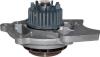 JP GROUP 1114105900 Water Pump