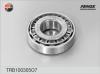 FENOX TRB100305O7 Wheel Bearing Kit