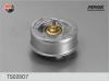 FENOX TS028O7 Thermostat, coolant