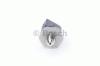 BOSCH 0261545043 Sensor, fuel pressure