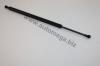 AUTOMEGA 30103130218 Gas Spring, boot-/cargo area