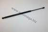 AUTOMEGA 30107100904 Gas Spring, boot-/cargo area