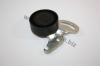 AUTOMEGA 30820003280372 Tensioner Pulley, v-ribbed belt
