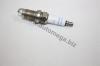 AUTOMEGA 109050601101F Spark Plug