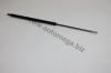 AUTOMEGA 30101200812 Gas Spring, bonnet