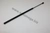 AUTOMEGA 30102240731 Gas Spring, boot-/cargo area