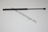 AUTOMEGA 30102320189 Gas Spring, boot-/cargo area