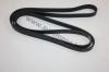 AUTOMEGA 30100490613 V-Ribbed Belts