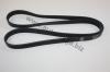 AUTOMEGA 30101020827 V-Ribbed Belts