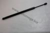 AUTOMEGA 30106830725 Gas Spring, boot-/cargo area