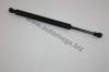 AUTOMEGA 30101170246 Gas Spring, boot-/cargo area