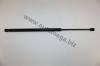AUTOMEGA 30102190984 Gas Spring, boot-/cargo area