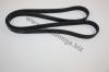 AUTOMEGA 30103080228 V-Ribbed Belts