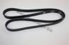 AUTOMEGA 30103160336 V-Ribbed Belts