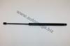 AUTOMEGA 30601420658 Gas Spring, boot-/cargo area