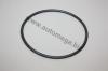 AUTOMEGA 101210043035 Gasket, water pump