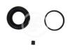 AUTOFREN SEINSA D41046 Repair Kit, brake caliper
