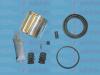 AUTOFREN SEINSA D41176C Repair Kit, brake caliper