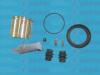 AUTOFREN SEINSA D41177C Repair Kit, brake caliper