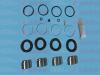 AUTOFREN SEINSA D41197C Repair Kit, brake caliper