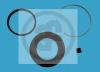 AUTOFREN SEINSA D4165 Repair Kit, brake caliper