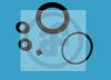 AUTOFREN SEINSA D4228 Repair Kit, brake caliper