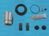 AUTOFREN SEINSA D41756C Repair Kit, brake caliper