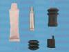 AUTOFREN SEINSA D7079C Guide Sleeve Kit, brake caliper