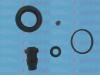 AUTOFREN SEINSA D42095 Repair Kit, brake caliper