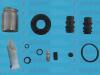 AUTOFREN SEINSA D41910C Repair Kit, brake caliper