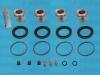 AUTOFREN SEINSA D41962C Repair Kit, brake caliper