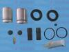 AUTOFREN SEINSA D42278C Repair Kit, brake caliper