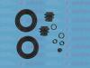 AUTOFREN SEINSA D42410 Repair Kit, brake caliper
