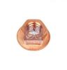 DT 3.66204 (366204) Spring Clamp Nut
