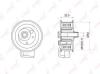 LYNXauto PB-1007 (PB1007) Tensioner Pulley, timing belt