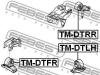 FEBEST TM-DTLH (TMDTLH) Engine Mounting