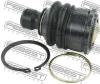 FEBEST 2120-ED (2120ED) Ball Joint
