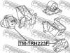 FEBEST TM-TRH223F (TMTRH223F) Engine Mounting