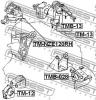 FEBEST TM-NZE120RH (TMNZE120RH) Engine Mounting