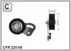 CAFFARO 225-00 (22500) Belt Tensioner, v-ribbed belt
