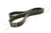 JAPKO 4PK780 V-Ribbed Belts