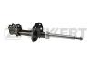 ZEKKERT SG-4573 (SG4573) Shock Absorber