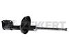 ZEKKERT SO-4255 (SO4255) Shock Absorber