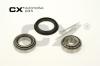 CX CX009 Wheel Bearing Kit
