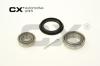 CX CX010 Wheel Bearing Kit